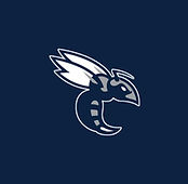Baker High School Football